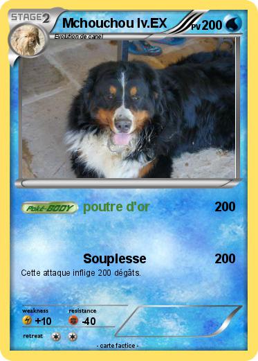 Pokemon Mchouchou lv.EX