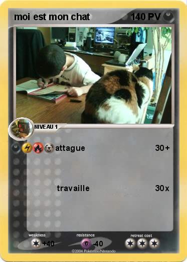 Pokemon moi est mon chat