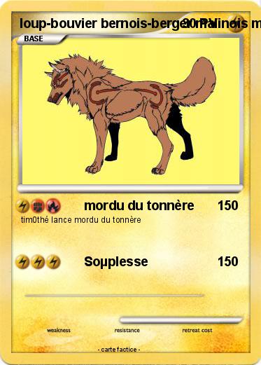 Pokemon loup-bouvier bernois-berger malinois mix