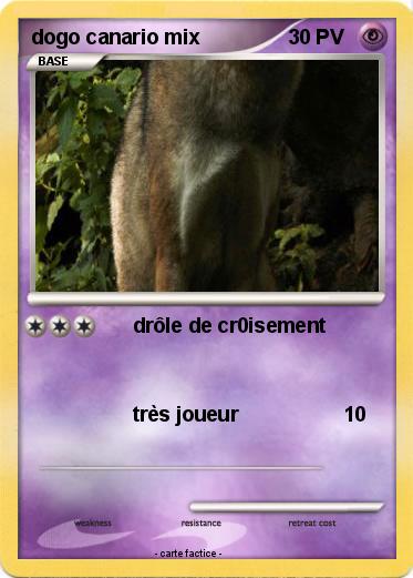 Pokemon dogo canario mix