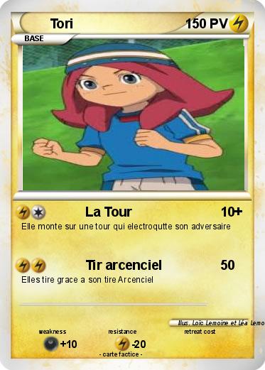 Pokemon Tori