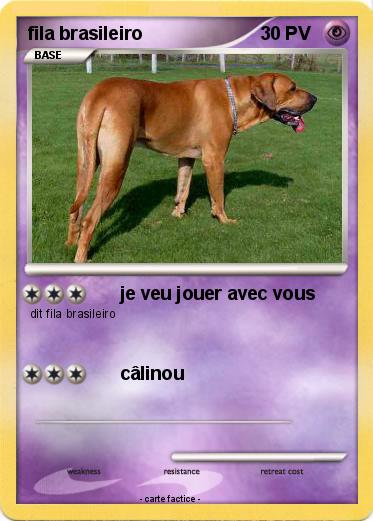 Pokemon fila brasileiro