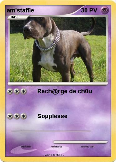 Pokemon am'staffie