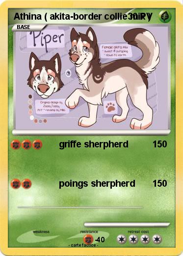 Pokemon Athina ( akita-border collie mix )