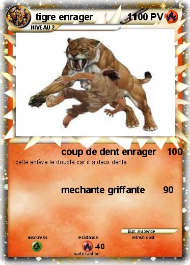 Pokemon tigre enrager             11
