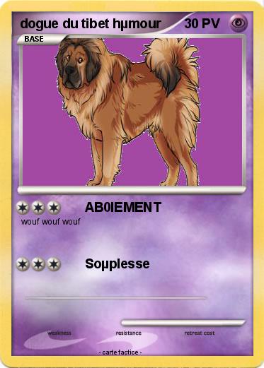 Pokemon dogue du tibet hµmour