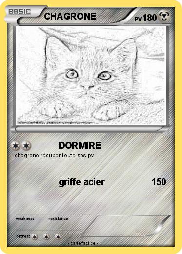 Pokemon CHAGRONE