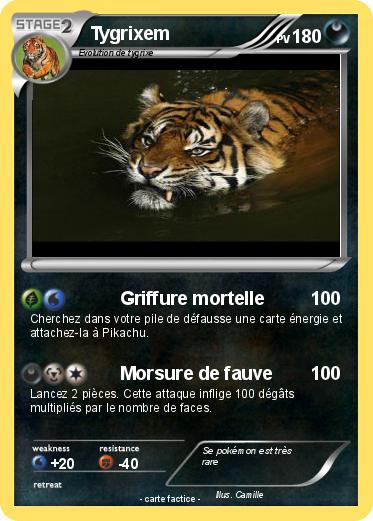 Pokemon Tygrixem