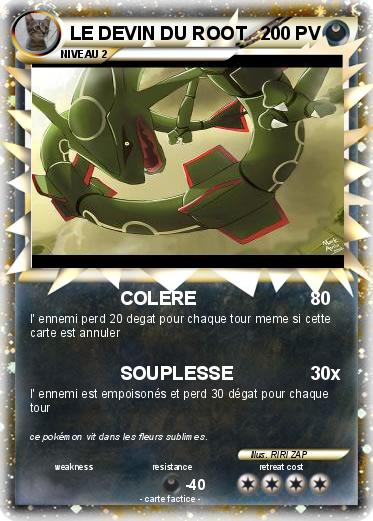 Pokemon LE DEVIN DU ROOT