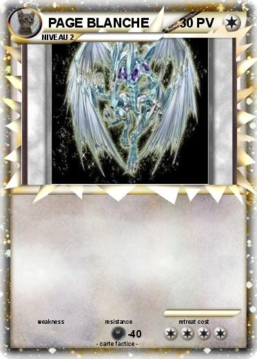 Pokemon PAGE BLANCHE