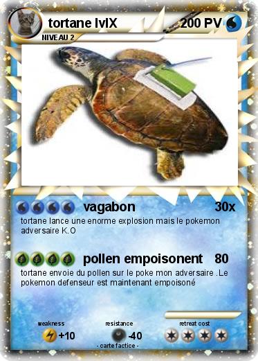 Pokemon tortane lvlX