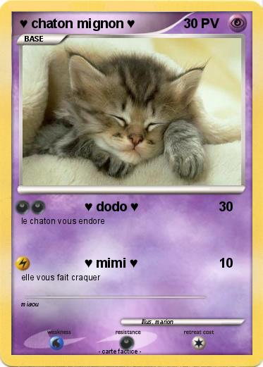 Pokemon ♥ chaton mignon ♥