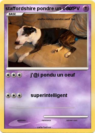 Pokemon staffordshire pondre un oeuf