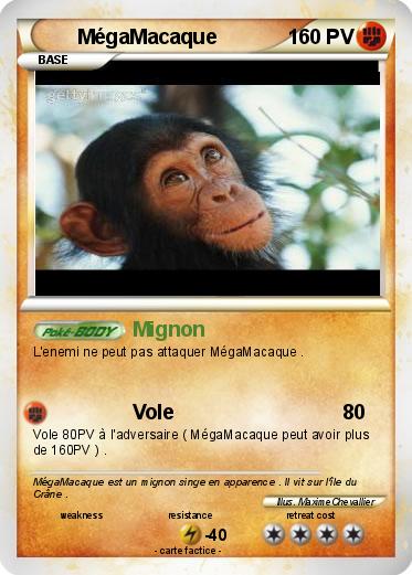 Pokemon MégaMacaque