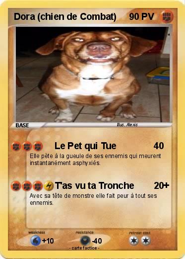 Pokemon Dora (chien de Combat)