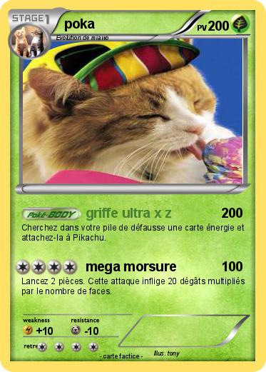 Pokemon poka