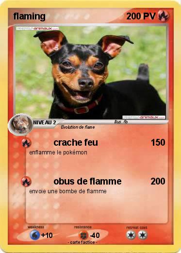 Pokemon flaming