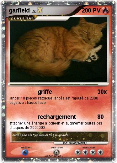 Pokemon garfield