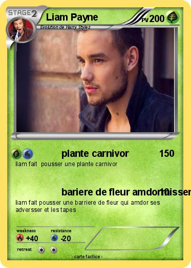 Pokemon Liam Payne