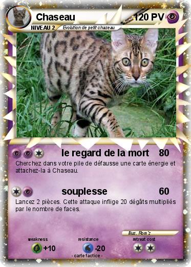 Pokemon Chaseau