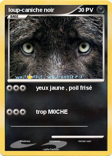 Pokemon loup-caniche noir
