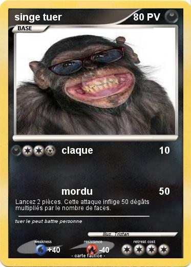 Pokemon singe tuer
