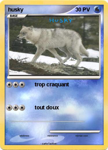 Pokemon husky