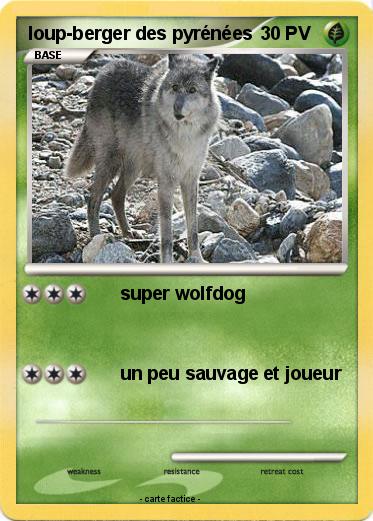 Pokemon loup-berger des pyrénées