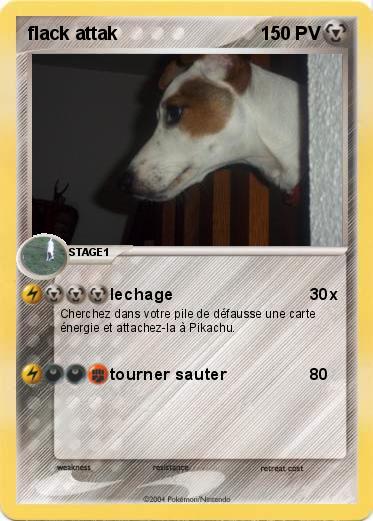 Pokemon flack attak
