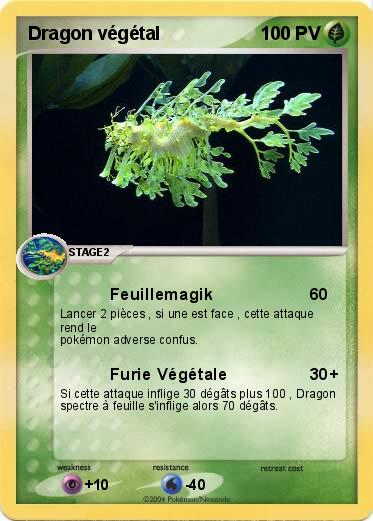 Pokemon Dragon végétal 