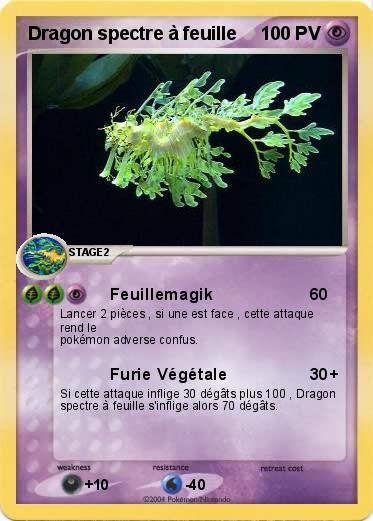 Pokemon Dragon spectre à feuille