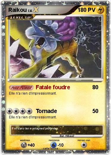 Pokemon Raikou