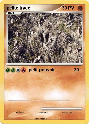 Pokemon petite trace