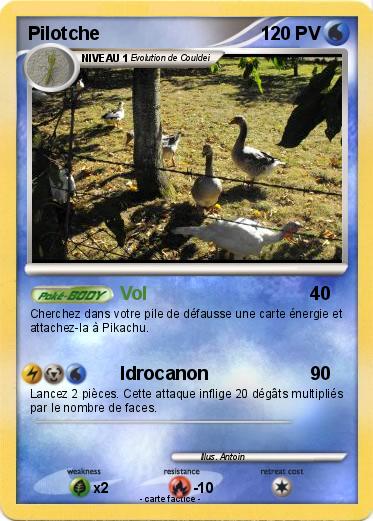 Pokemon Pilotche