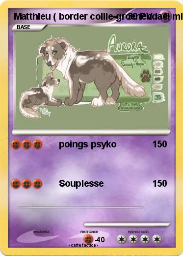 Pokemon Matthieu ( border collie-groenendael mix )