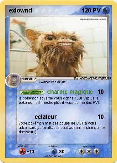 Pokemon exlownd