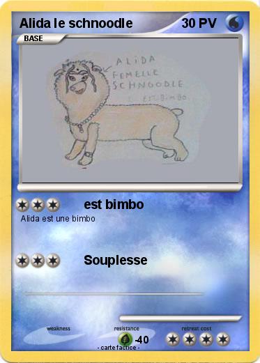 Pokemon Alida le schnoodle