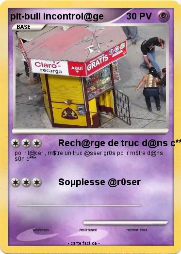 Pokemon pit-bull incontrol@ge