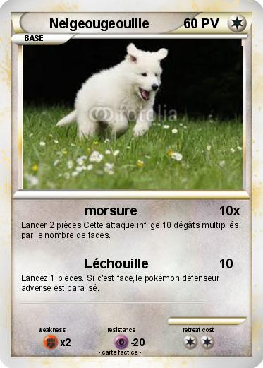 Pokemon Neigeougeouille