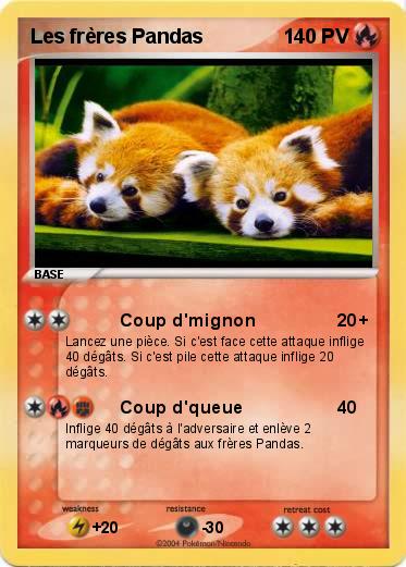 Pokemon Les frères Pandas
