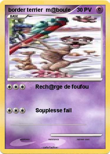Pokemon border terrier  m@boule