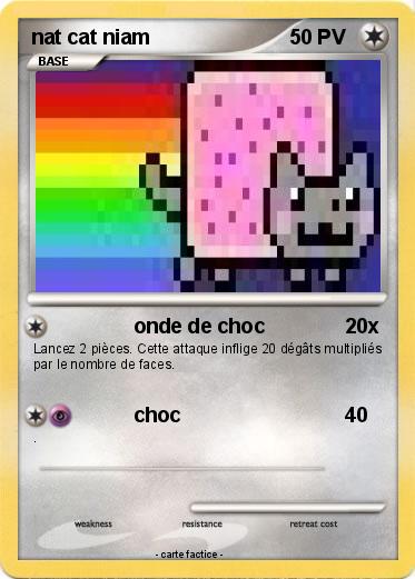 Pokemon nat cat niam