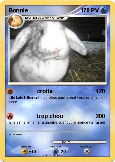 Pokemon Bonnie