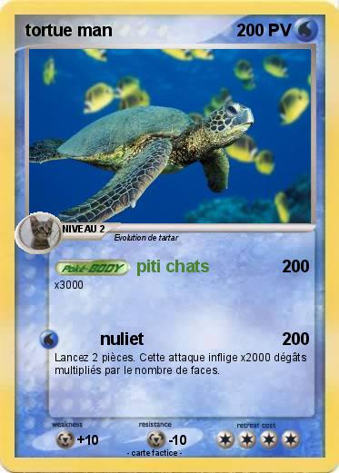 Pokemon tortue man