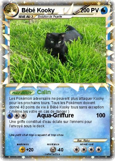 Pokemon Bébé Kooky