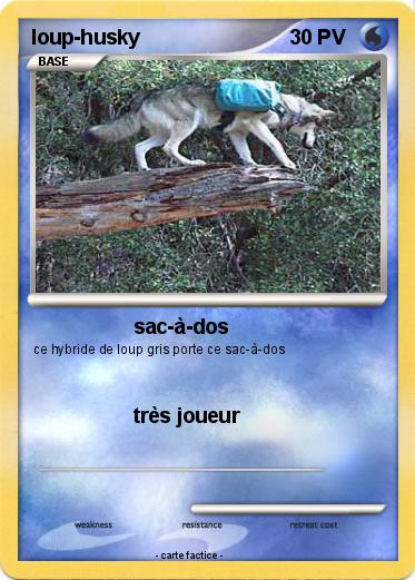 Pokemon loup-husky