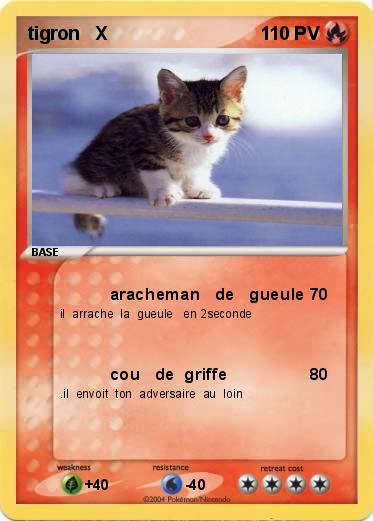 Pokemon tigron   X
