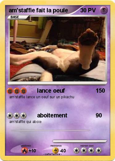 Pokemon am'staffie fait la poule