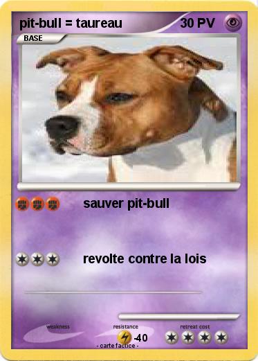 Pokemon pit-bull = taureau