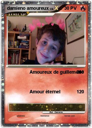 Pokemon damieno amoureux